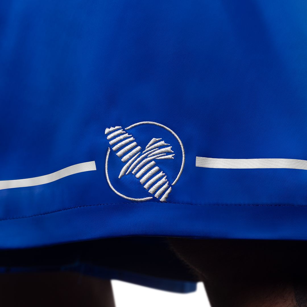Hayabusa Boksshorts Pro - Blauw