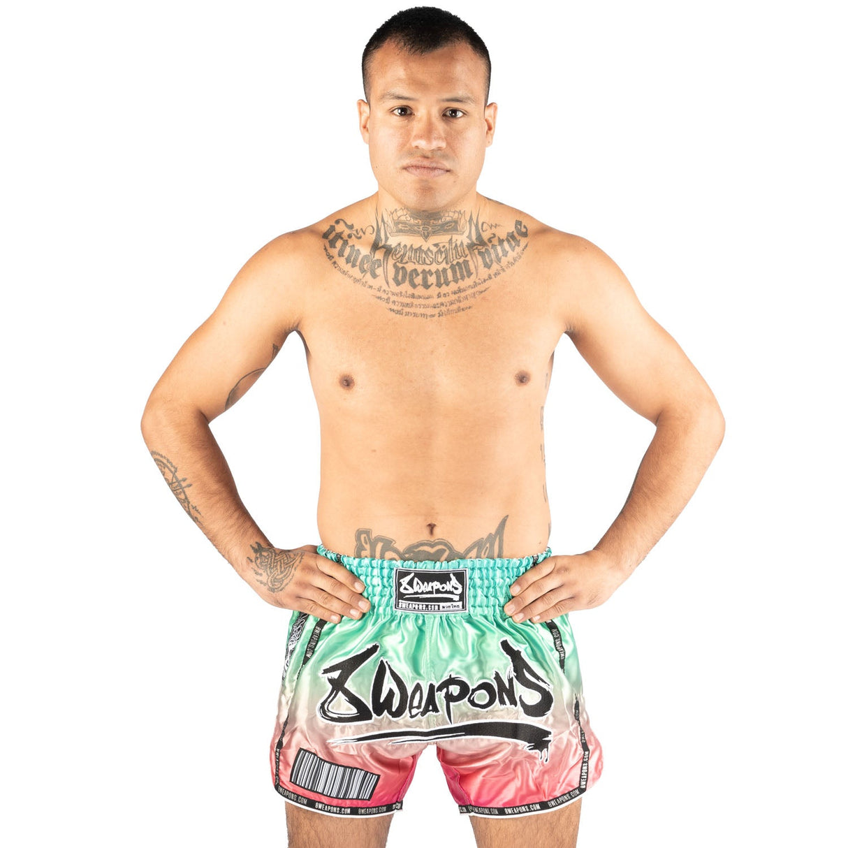8 WEAPONS Muay Thai Shorts Vivo Mesosphere - Mesosphere