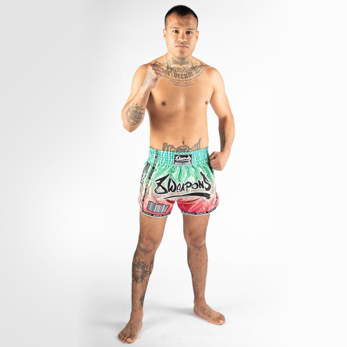 8 WEAPONS Muay Thai Shorts Vivo Mesosphere - Mesosphere