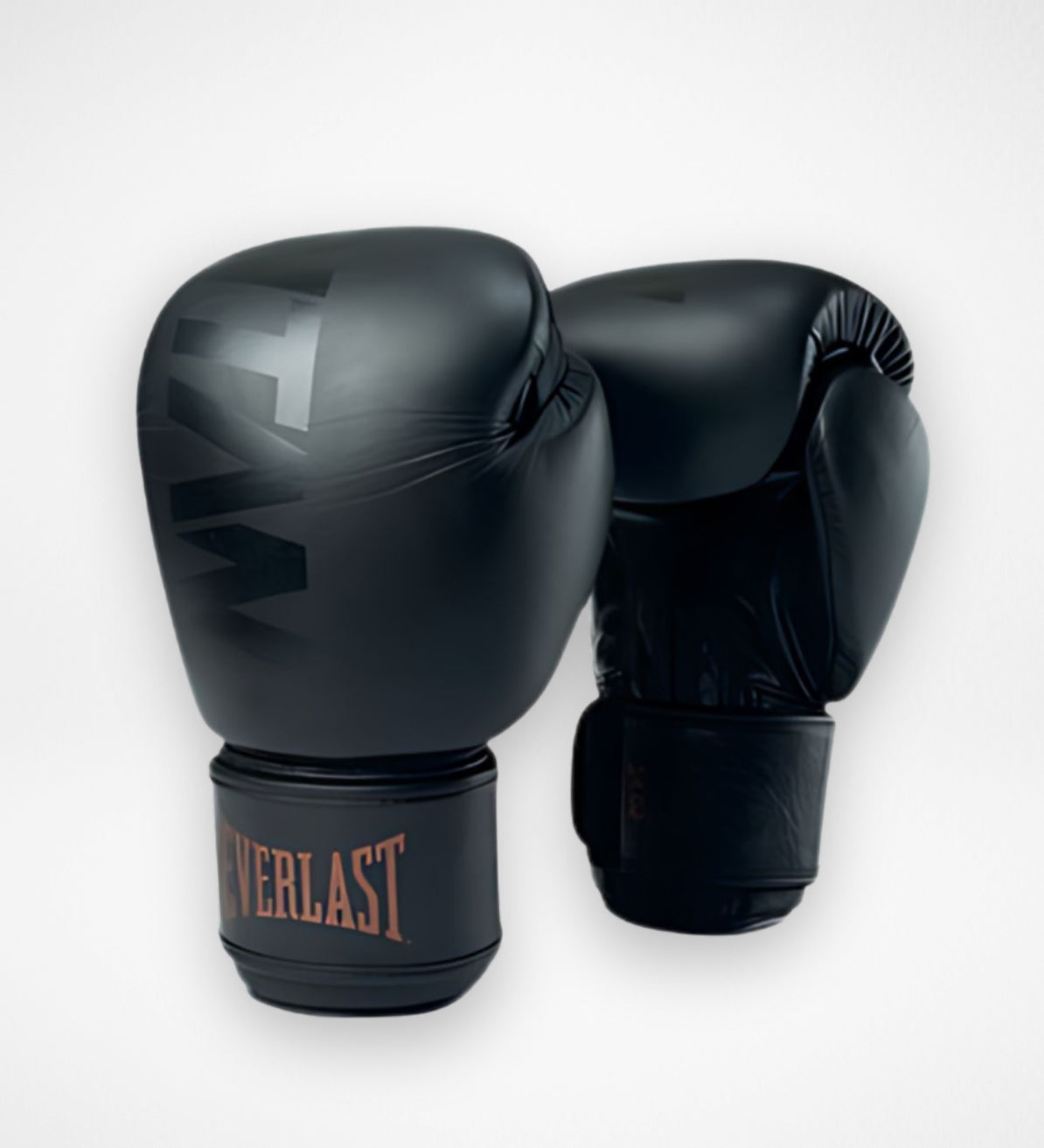 Everlast Boxhandschuhe Titan - Schwarz