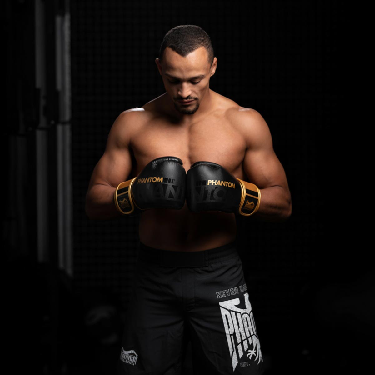 Phantom Athletics MMA Shorts Fusion Germany - Zwart