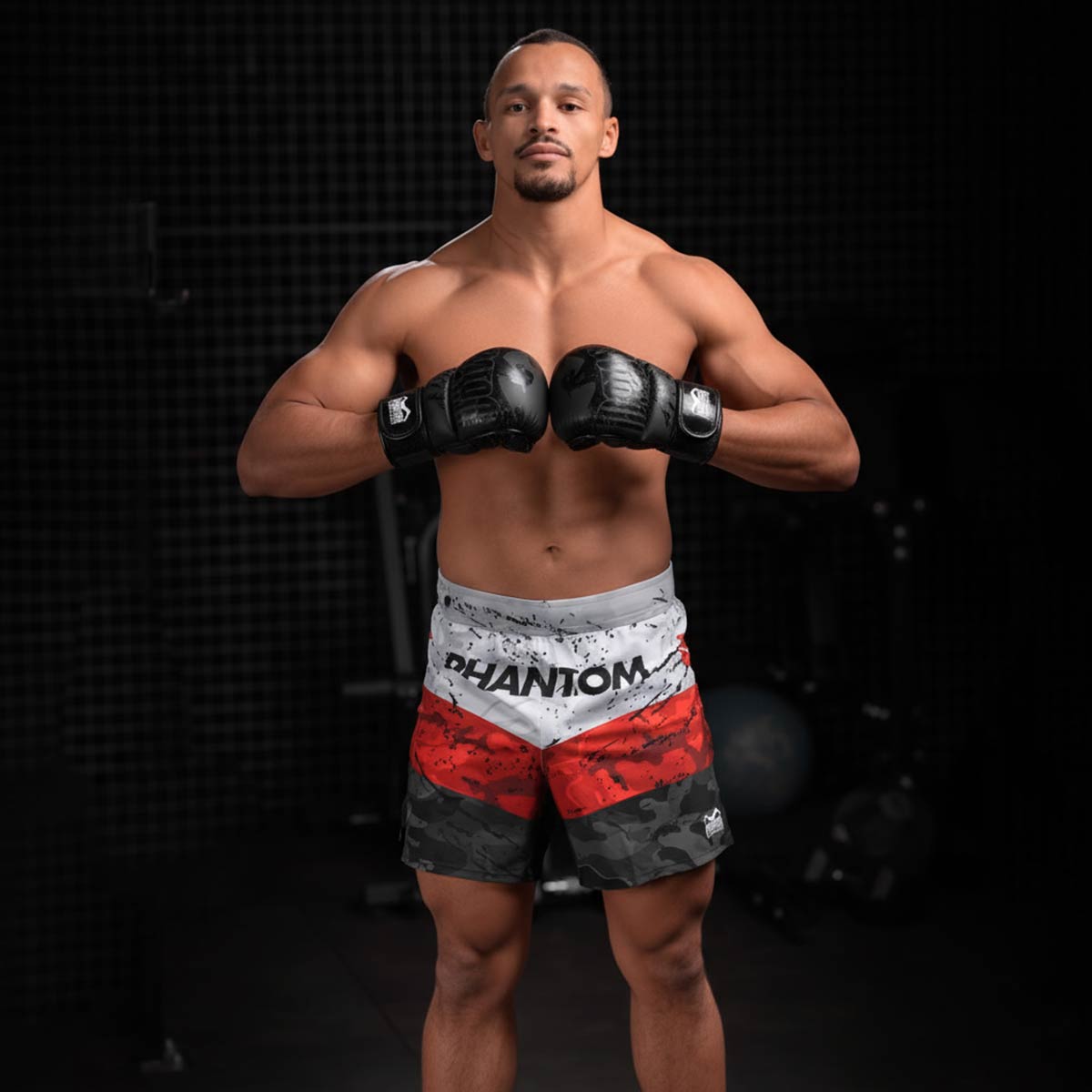 Phantom Athletics MMA Handschoenen German Eagle - Zwart
