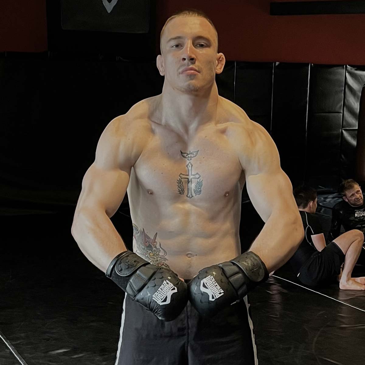 Phantom Athletics MMA Handschoenen Elite - Zwart