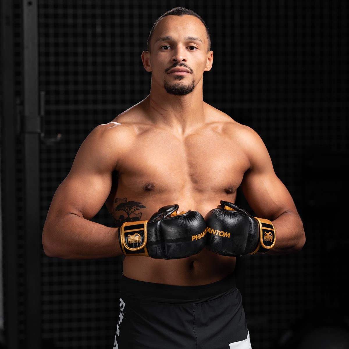 Phantom Athletics MMA Handschoenen APEX - Zwart/Goud