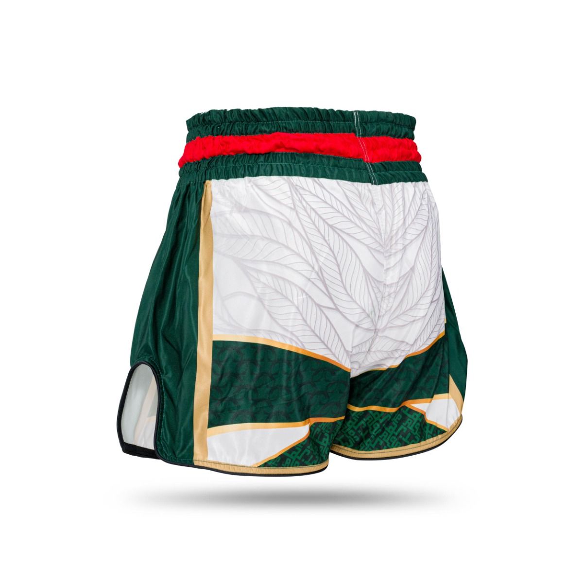 Booster Kickboks Shorts TBT - Algeria