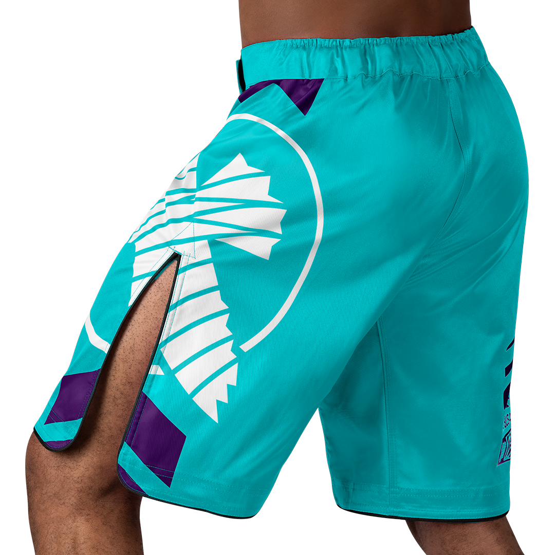 Hayabusa MMA Shorts Icon Lang - Oceaangroen
