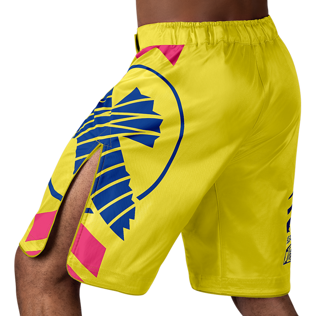 Hayabusa MMA-shorts Icon Lang - Gul/Blå/Pink