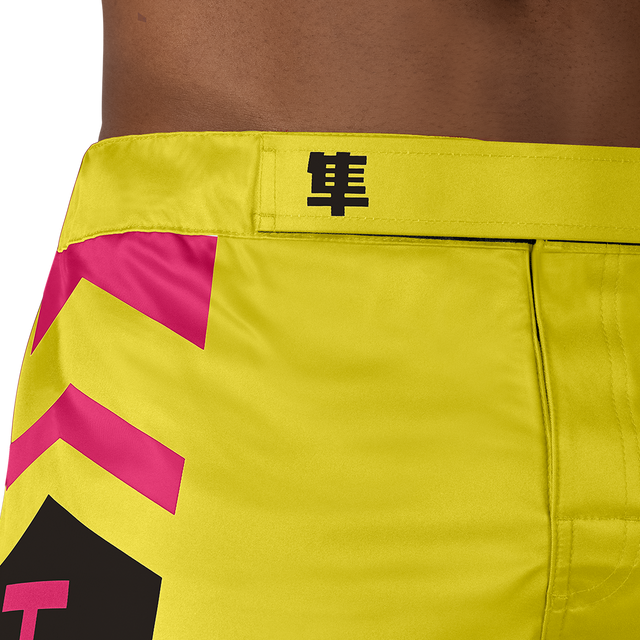 Hayabusa MMA-shorts Icon Lang - Gul/Blå/Pink