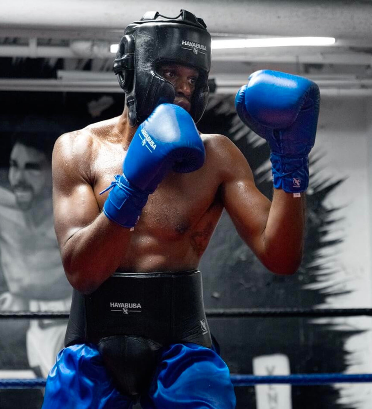 Hayabusa (Kick)Bokshandschoenen Pro Boxing Veters - Blauw - (Kick)Bokshandschoenen