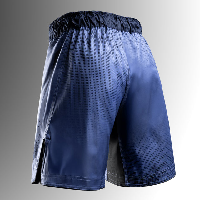 Hayabusa MMA-shorts Core Lang – Blå