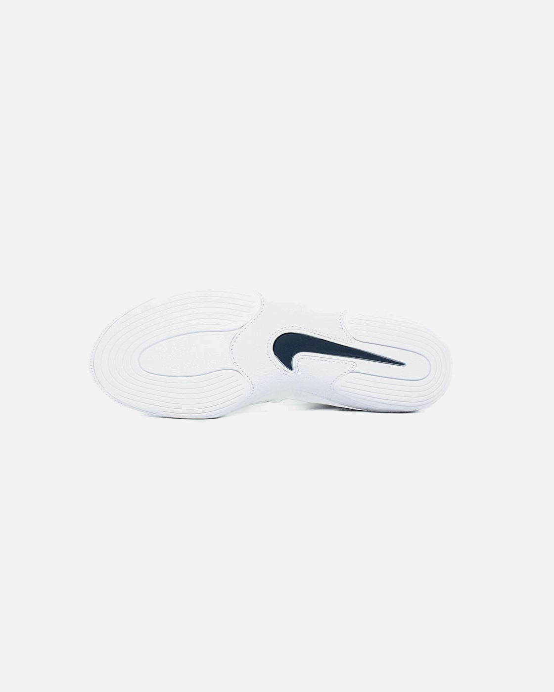 Nike Worstelschoenen Inflict 4 - Wit/Blauw