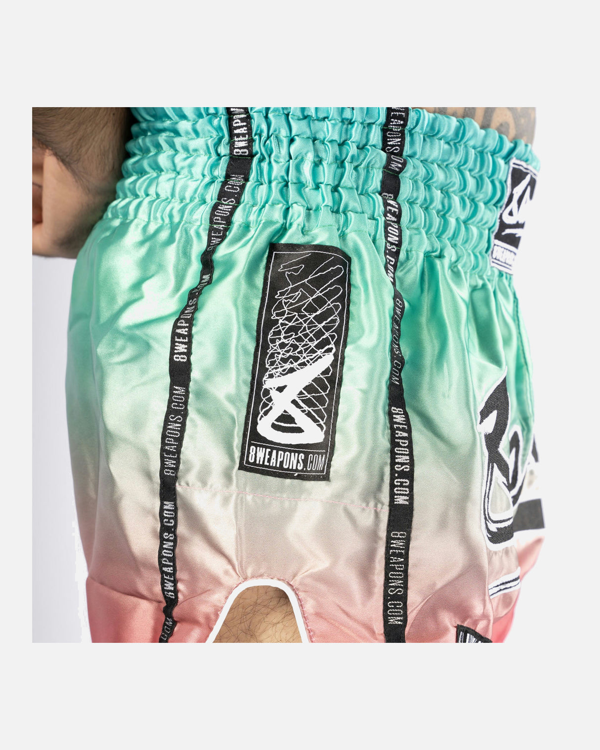 8 WEAPONS Muay Thai Shorts Vivo Mesosphere - Mesosphere