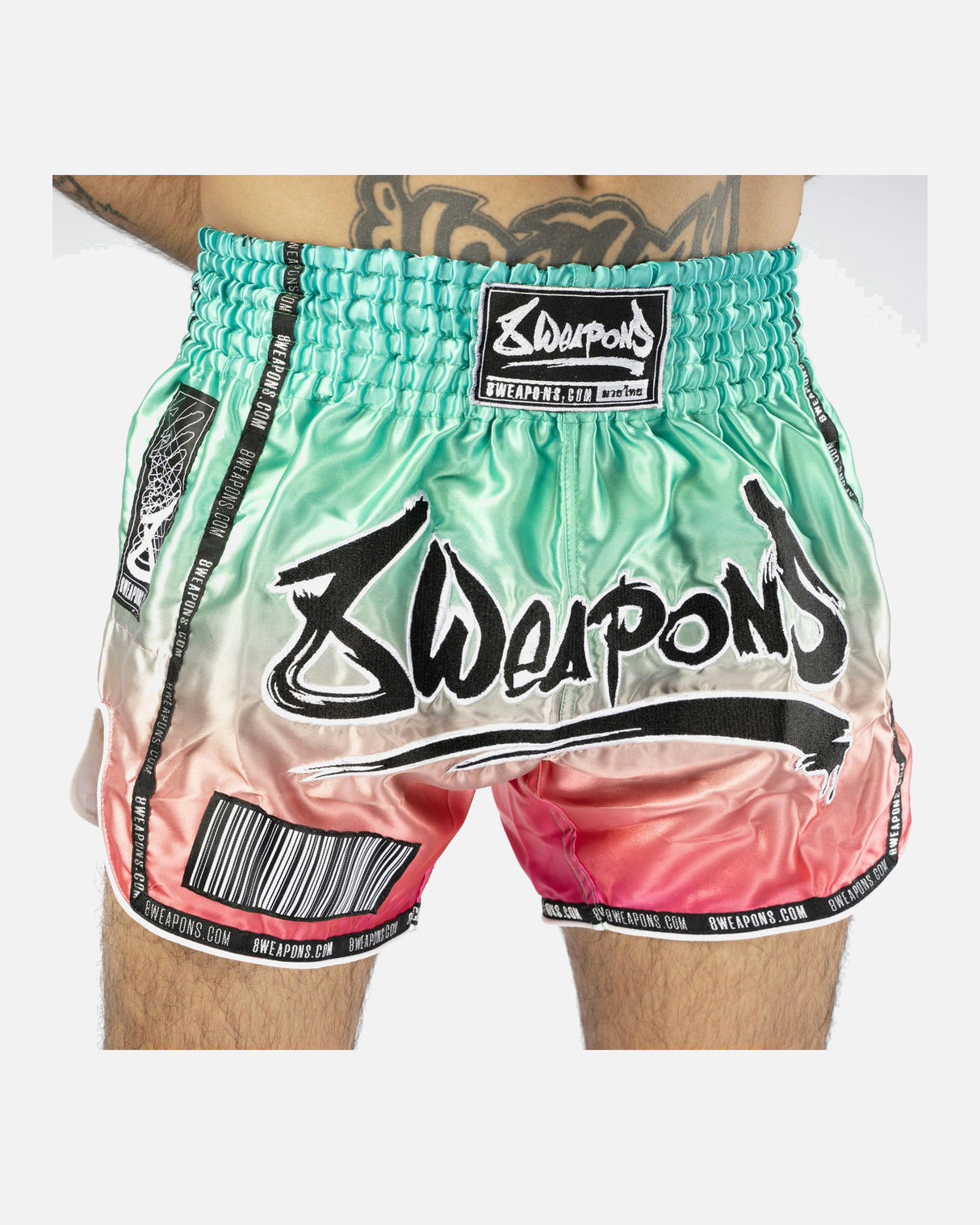 8 WEAPONS Muay Thai Shorts Vivo Mesosphere - Mesosphere