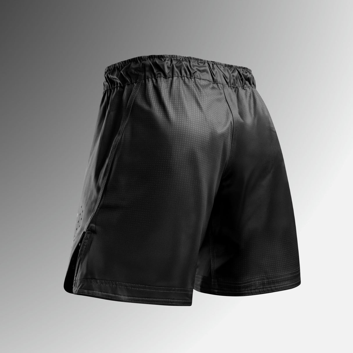 Hayabusa MMA Shorts Apex Core - Zwart