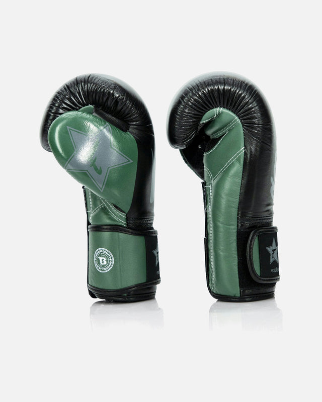 Mănuși de box Fairtex FXB V2 – Verde