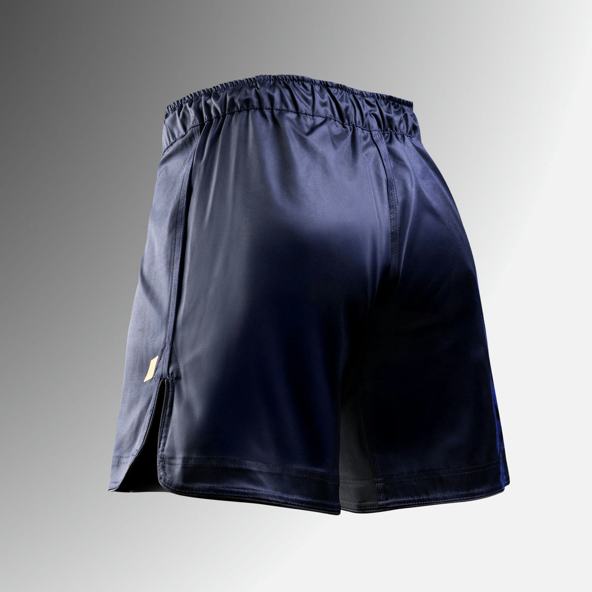 Hayabusa MMA Shorts Apex Vantage - Blauw