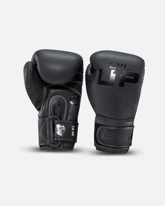 LVL UP Boxhandschuhe BG – Schwarz