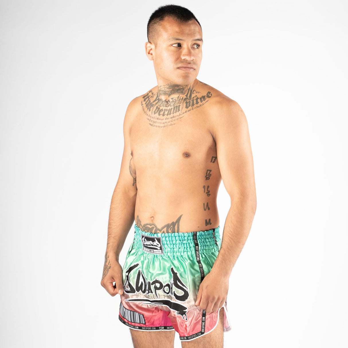 8 WEAPONS Muay Thai Shorts Vivo Mesosphere - Mesosphere