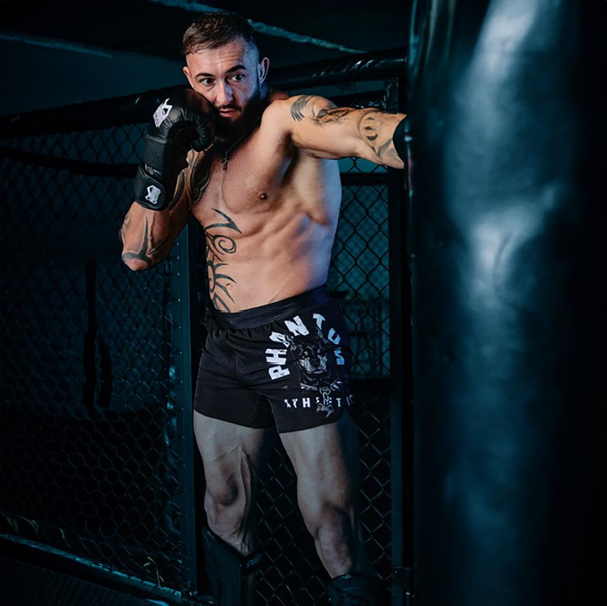 Phantom Athletics MMA-Shorts Fusion Dobermann – Schwarz