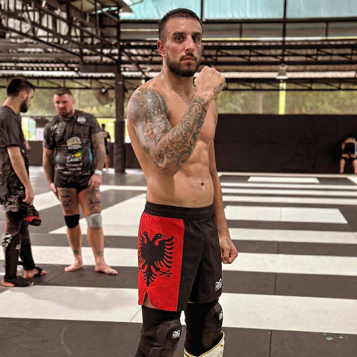 Phantom Athletics MMA Shorts Fusion-R Team Albania