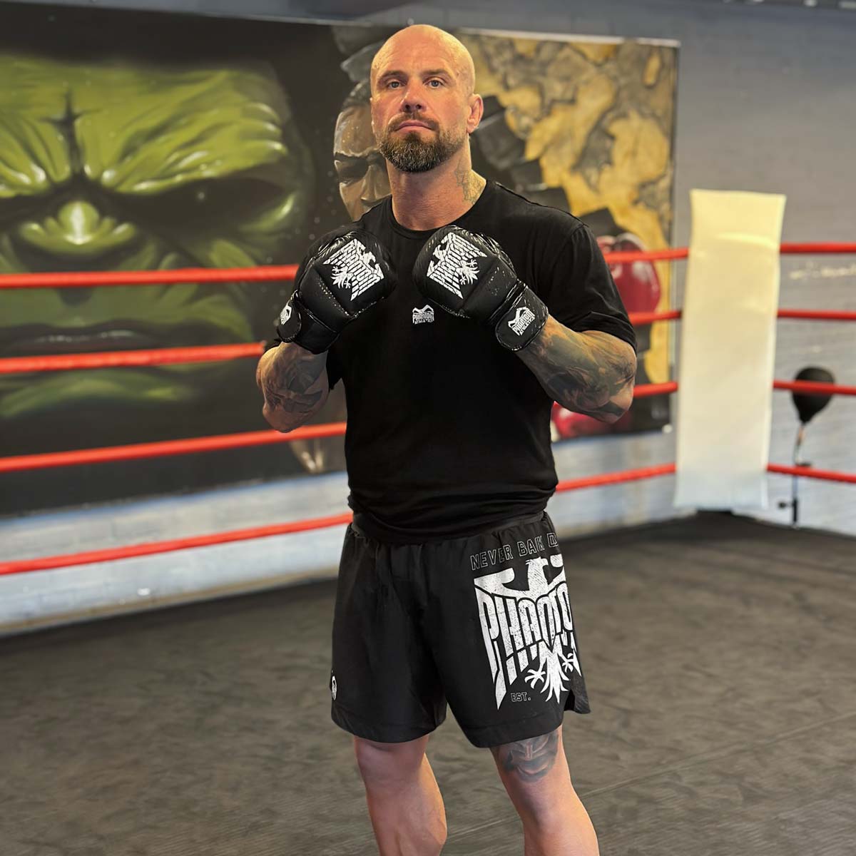 Phantom Athletics MMA Shorts Fusion Germany - Zwart