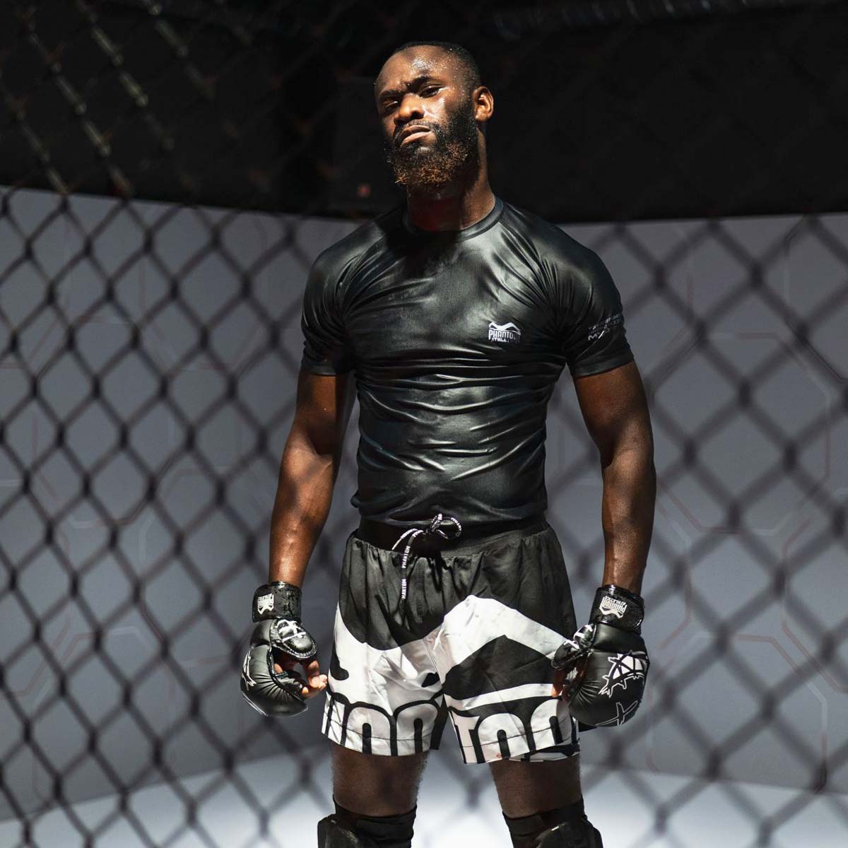 Phantom Athletics MMA Handschoenen Serious - Zwart