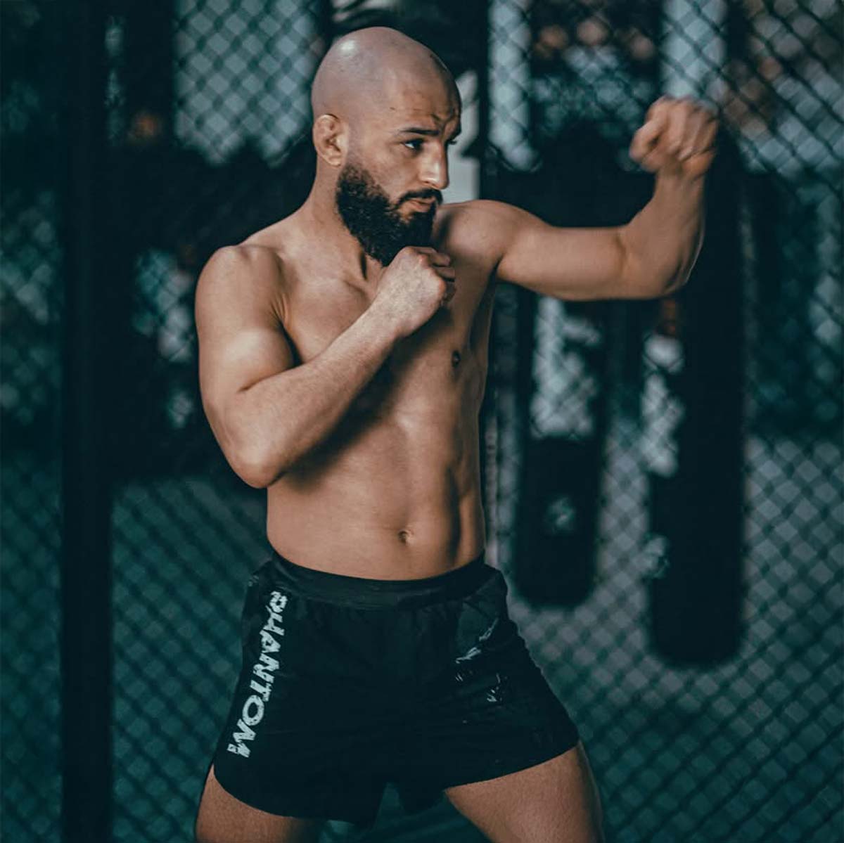 Phantom Athletics MMA Shorts Fusion-R Werewolf - Zwart/Grijs