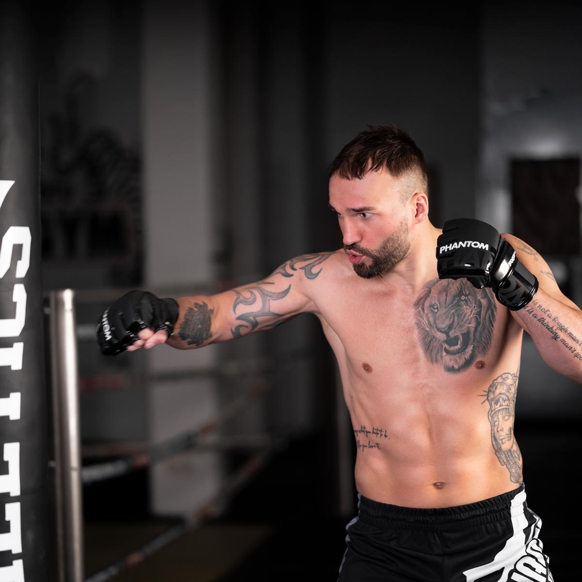 Phantom Athletics MMA Handschoenen Apex - Zwart