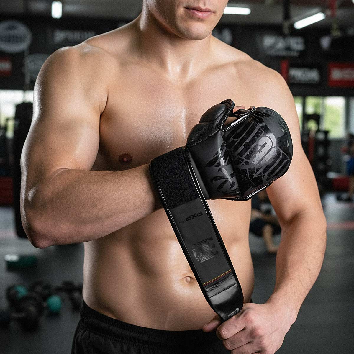 Phantom Athletics MMA Handschoenen German Eagle - Zwart