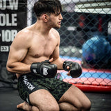 Phantom Athletics MMA Handschoenen Riot Pro