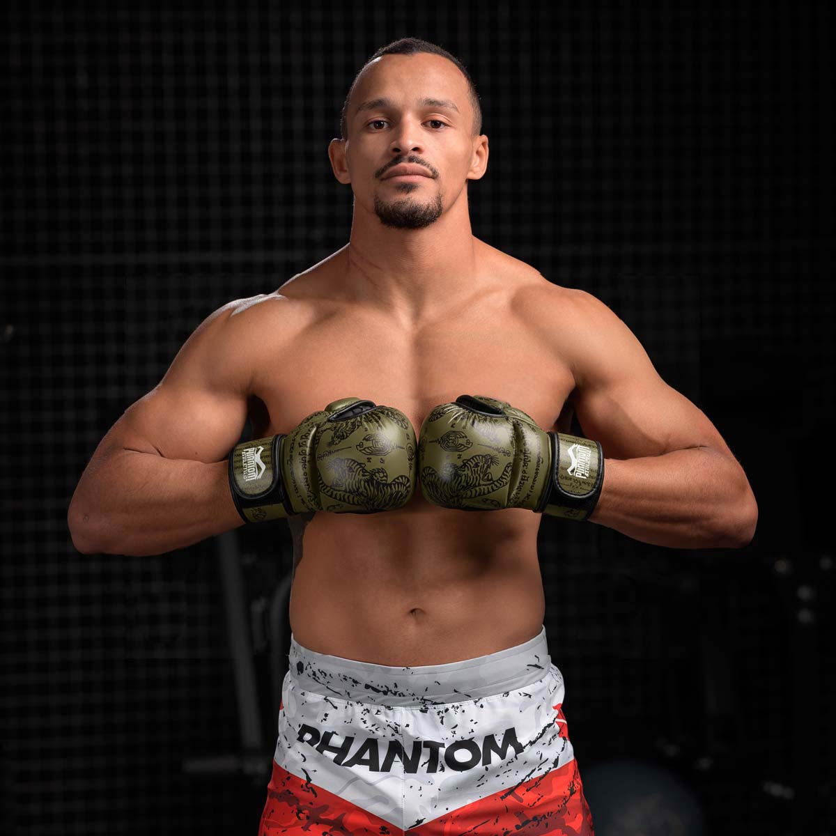 Phantom Athletics MMA Handschoenen Sparring Muay Thai - Groen