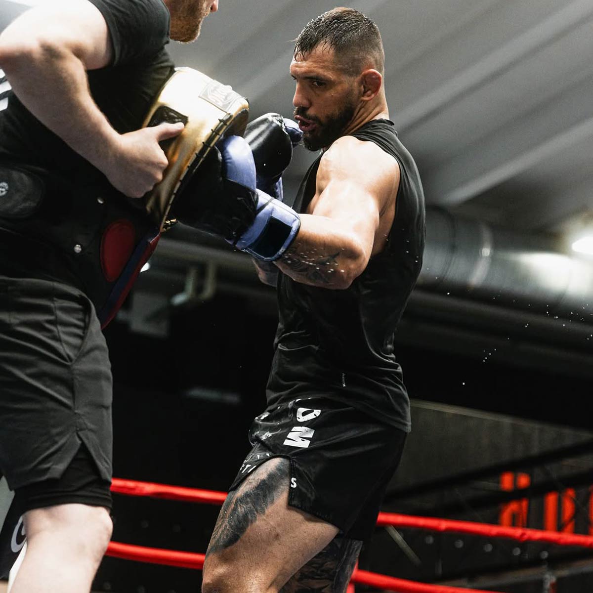 Phantom Athletics Muay Thai shorts Dobermann - Sort
