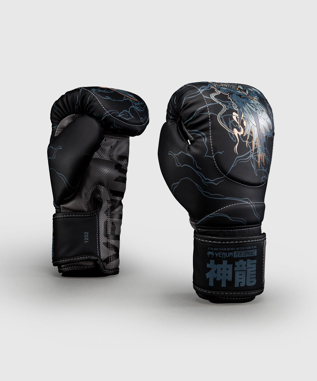 Venum Bokshandschoenen Thunder Dragon - Zwart/Grijs/Koper