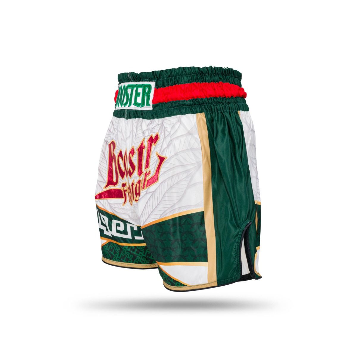 Booster Kickboks Shorts TBT - Algeria