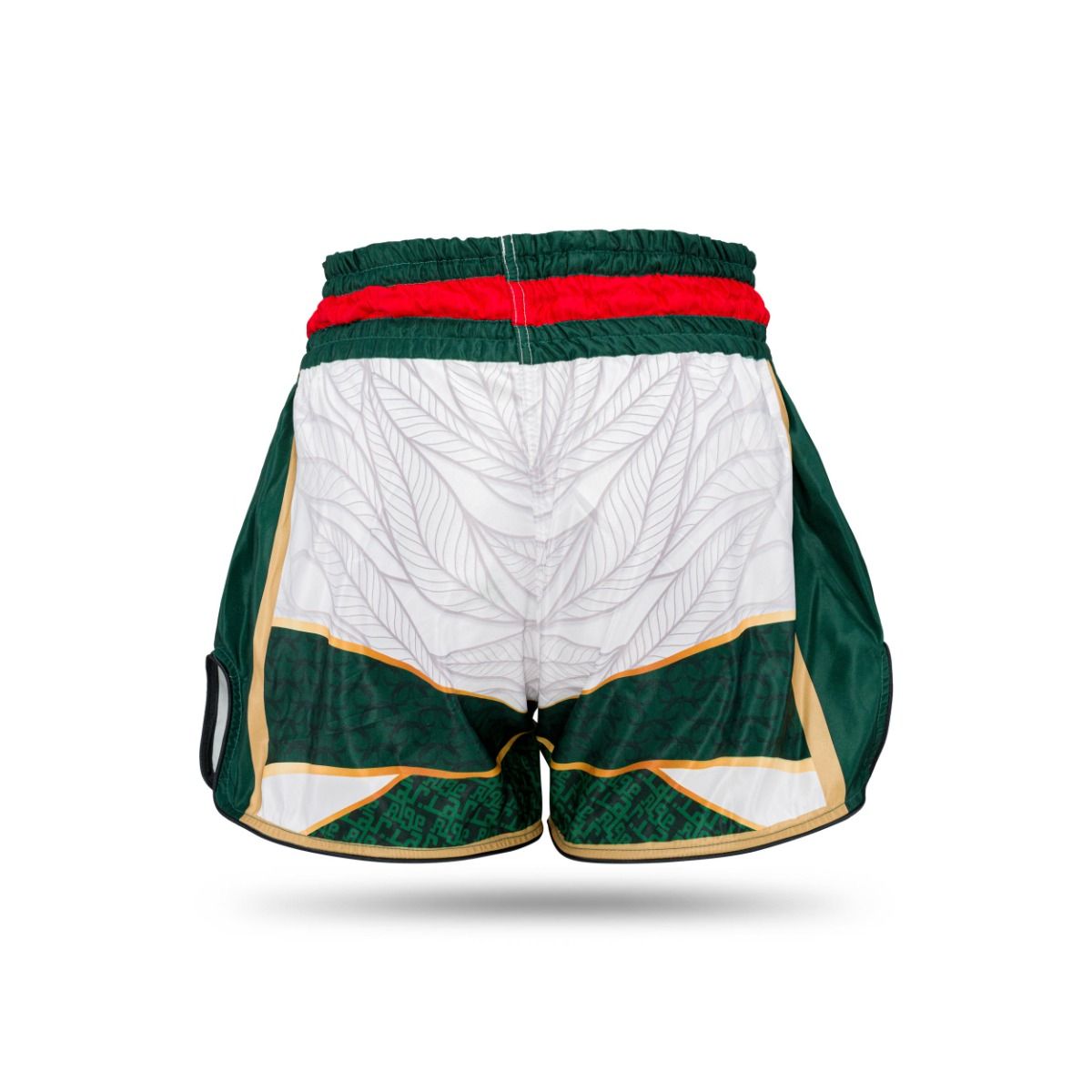 Booster Kickboks Shorts TBT - Algeria