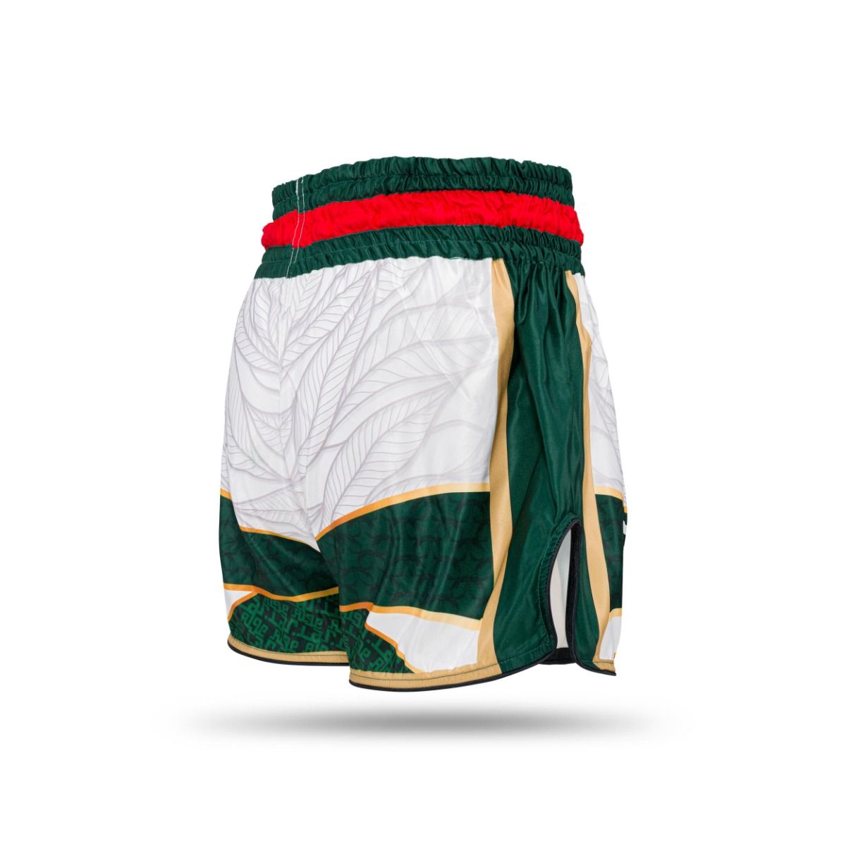 Booster Kickboks Shorts TBT - Algeria