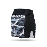 Booster Kickboks Shorts Alien - Zwart/Grijs