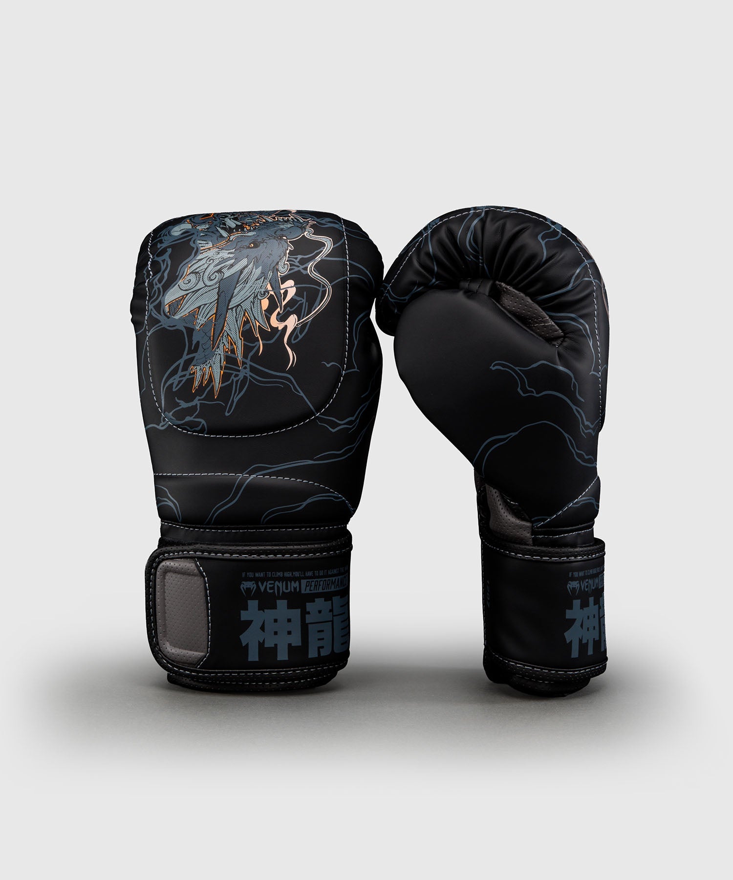 Guantes de boxeo Venum Thunder Dragon – Negro/Gris/Cobre