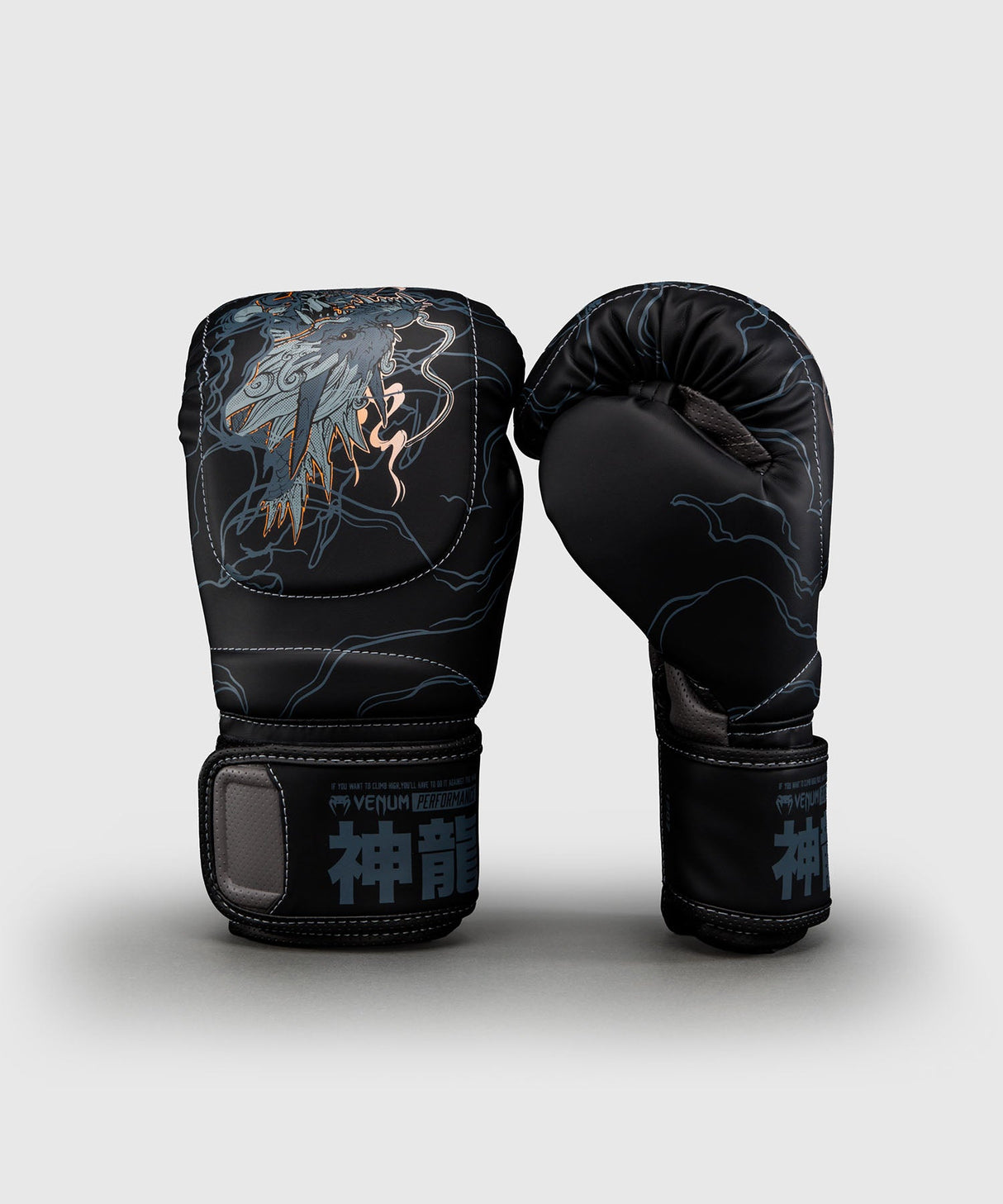 Venum Bokshandschoenen Thunder Dragon - Zwart/Grijs/Koper