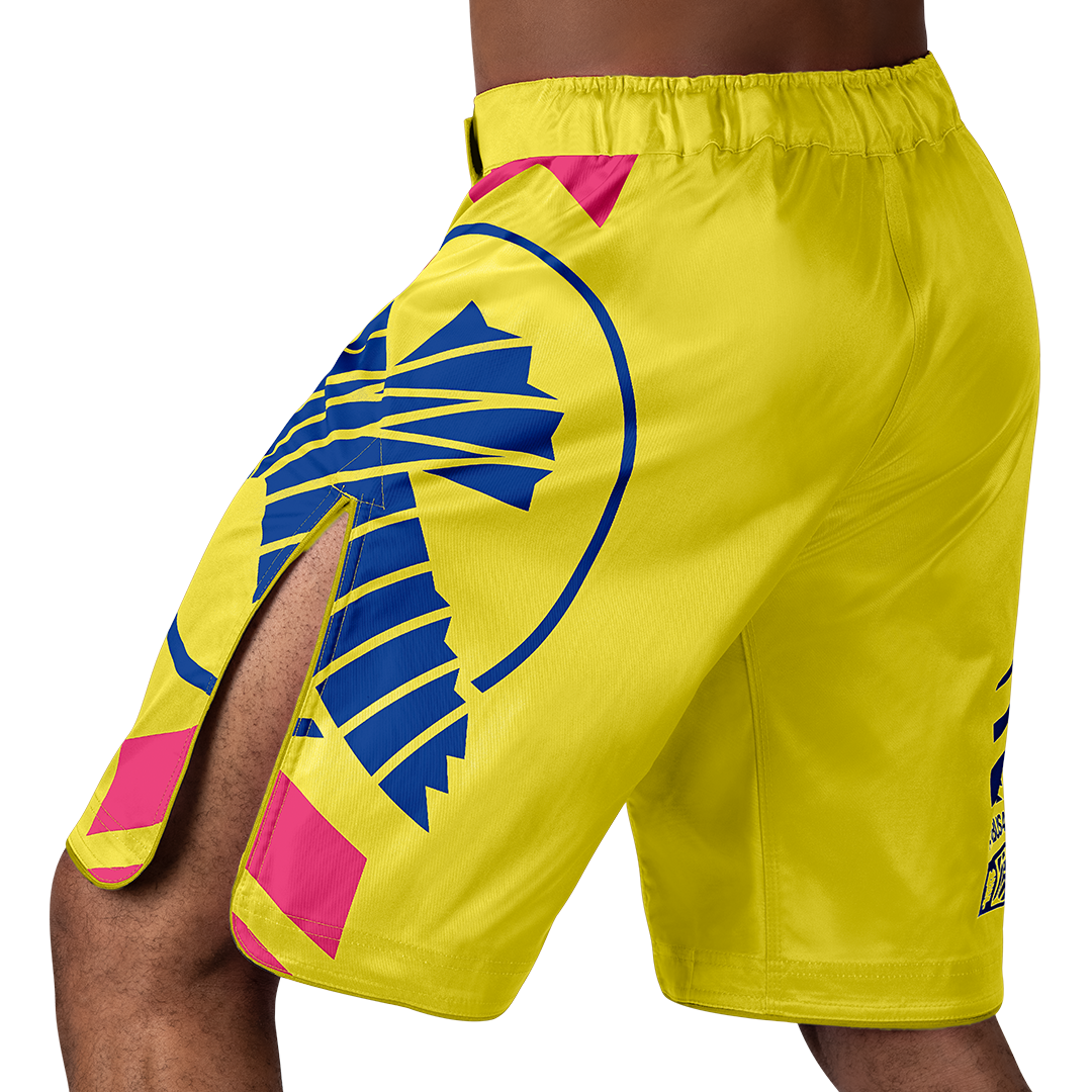 Hayabusa MMA Shorts Icon Lang - Geel/Blauw/Roze
