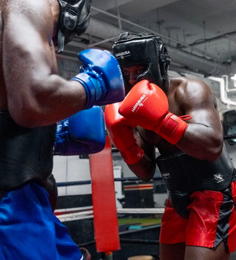 Hayabusa (Kick)Bokshandschoenen Pro Boxing Veters - Rood - (Kick)Bokshandschoenen