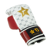 Fairtex Boxing Gloves FXB Star - White/Bordeaux Red