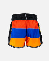 Booster Muay Thai Shorts Country Armenia - Zwart