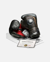 Hayabusa x Marvel Bokshandschoenen Thor - Bruin