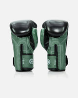 Fairtex Bokshandschoenen FXB V2 - Groen
