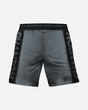 Pantaloncini MMA Phantom Athletics EVO Apex – Grigio