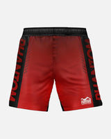 Phantom Athletics MMA Shorts EVO Apex - Zwart/Grijs