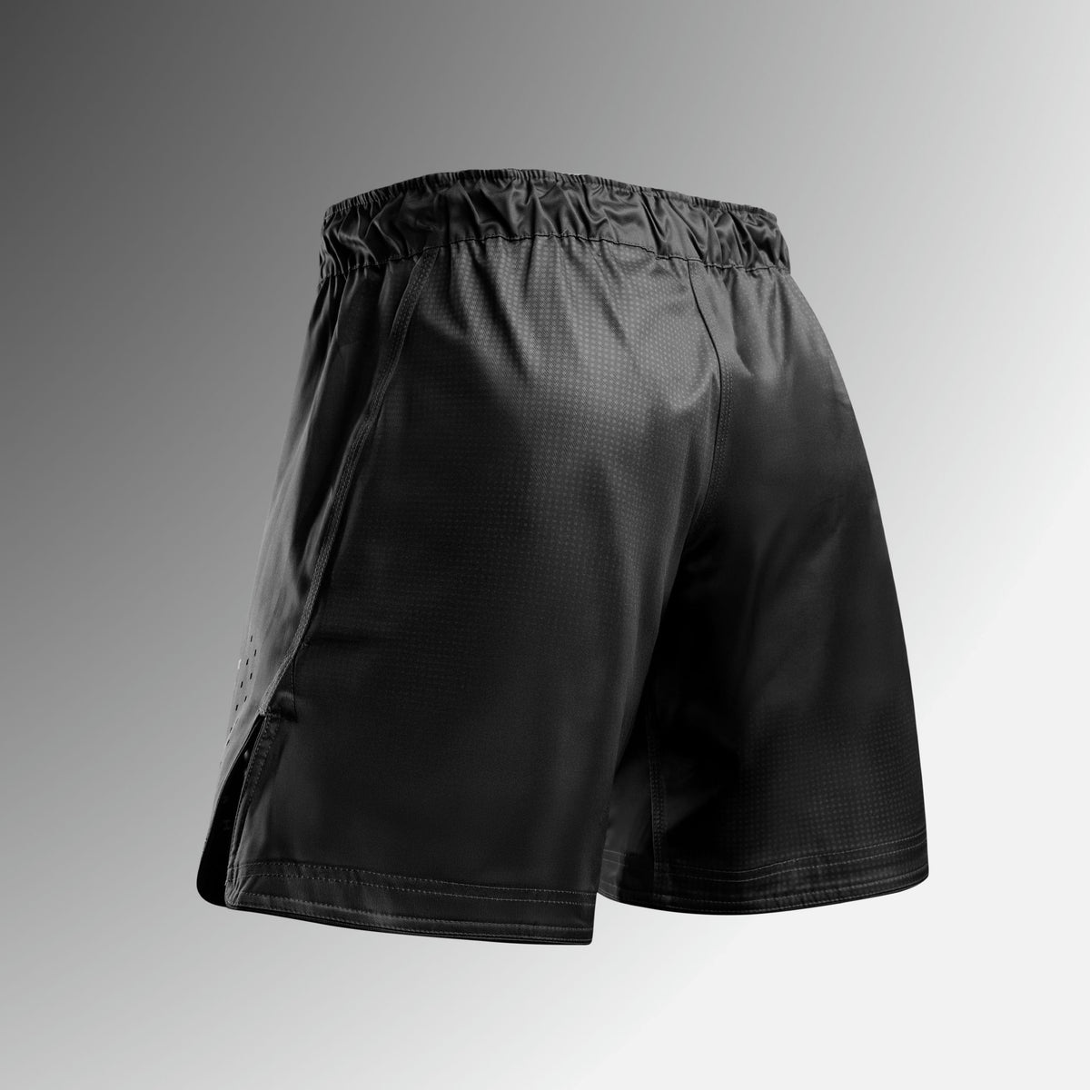 Hayabusa MMA Shorts Apex Core - Zwart