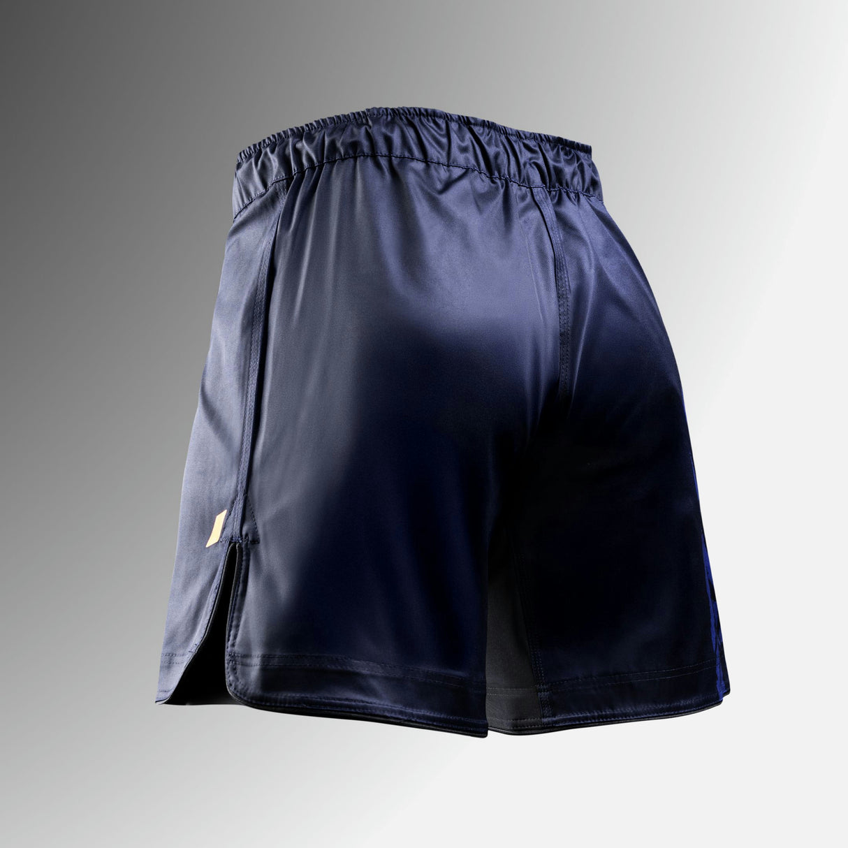 Hayabusa MMA Shorts Apex Vantage - Blauw