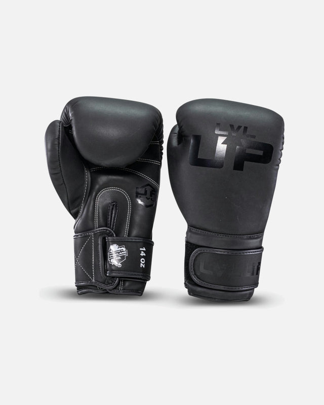 LVL UP Boxhandschuhe BG – Schwarz